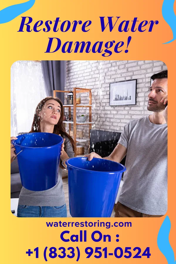 water restoration Silver Restoration Masters Pleasanton
