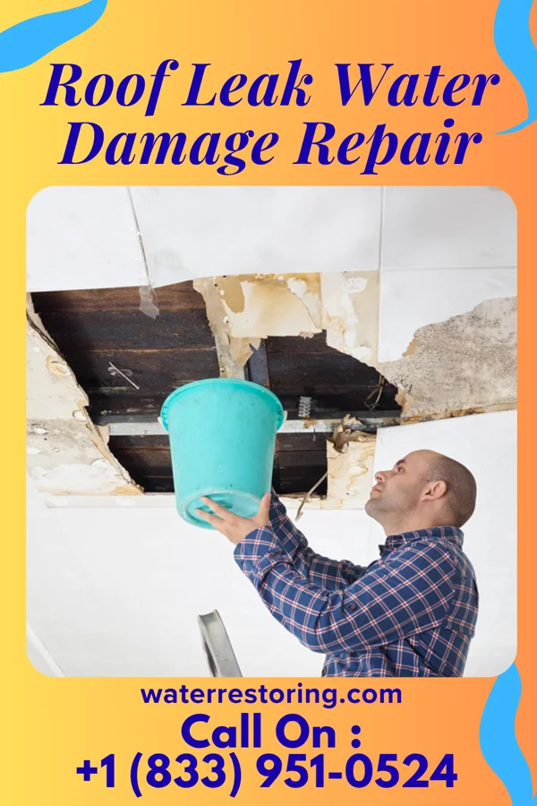 Roof Leak Water Damage Repair in Pleasanton, TX