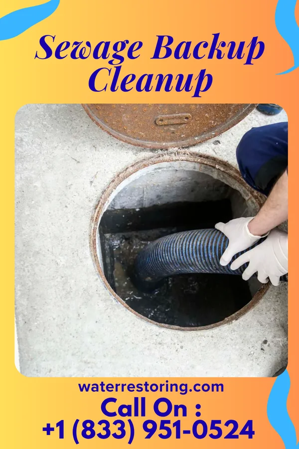 Sewage Backup Cleanup in Pleasanton, TX